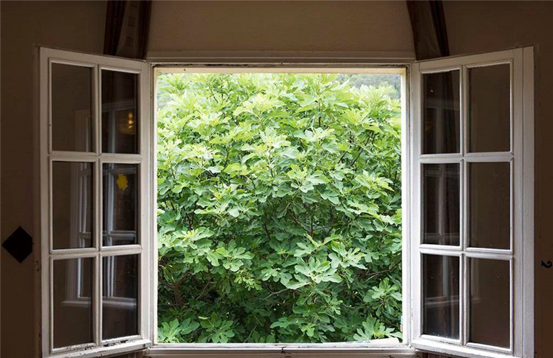 整木定制裝修完如何去除甲醛味道？(圖1)